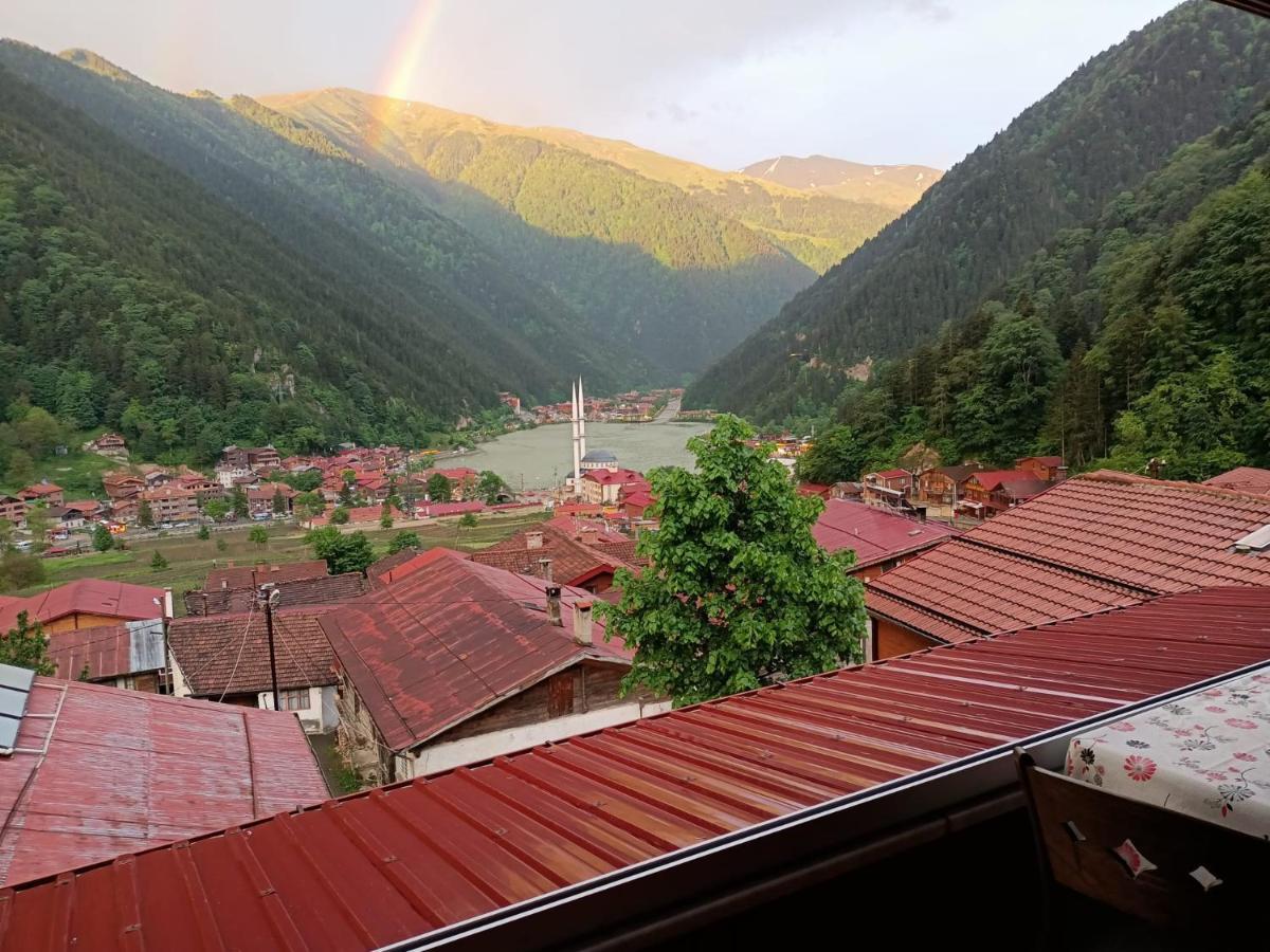 Falay Apartment Uzungol